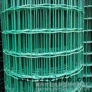 河北超先现货圈地铁丝网浸塑金属网 荷兰网 绿色环保通风图3