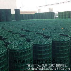 河北超先现货圈地铁丝网浸塑金属网 荷兰网 绿色环保通风图5
