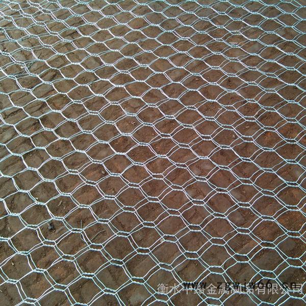 厂家供应格宾石笼网 金属网箱 中路石笼网**价廉图2