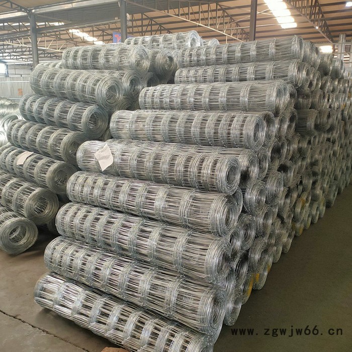 豪亮  草原隔离防护网 牛羊安全围网   镀锌铁丝网 金属网图5