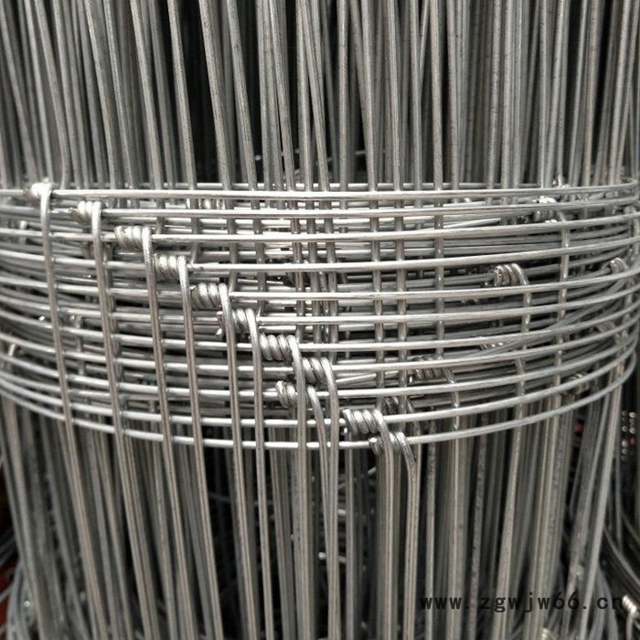 豪亮  草原隔离防护网 牛羊安全围网   镀锌铁丝网 金属网图2