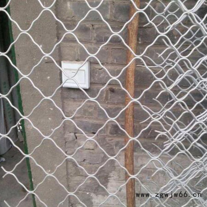 【安平拓俊** 镀锌防盗网 金属网片 铁丝网 厂房窗户防护专用美格网图5