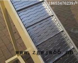 华臻不锈钢金属网带，不锈钢链条图4