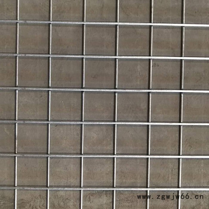 批发建筑钢筋 金属网片 镀锌苗床长孔密纹网片 路面抗裂地暖网片图2