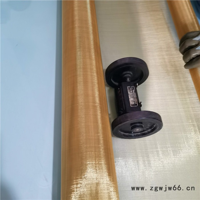 黄铜金属网    实体厂家   铜网    铜丝编织网图2