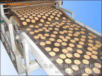 华臻不锈钢金属网带输送带,不锈钢输送机，提升机图3