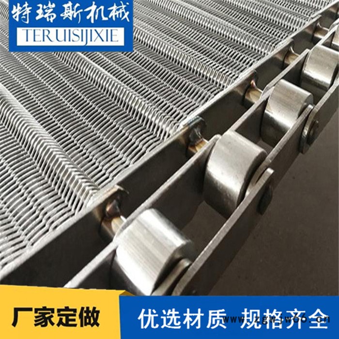 网带输送机 喷涂线网带输送机 特瑞斯金属网带输送机图5