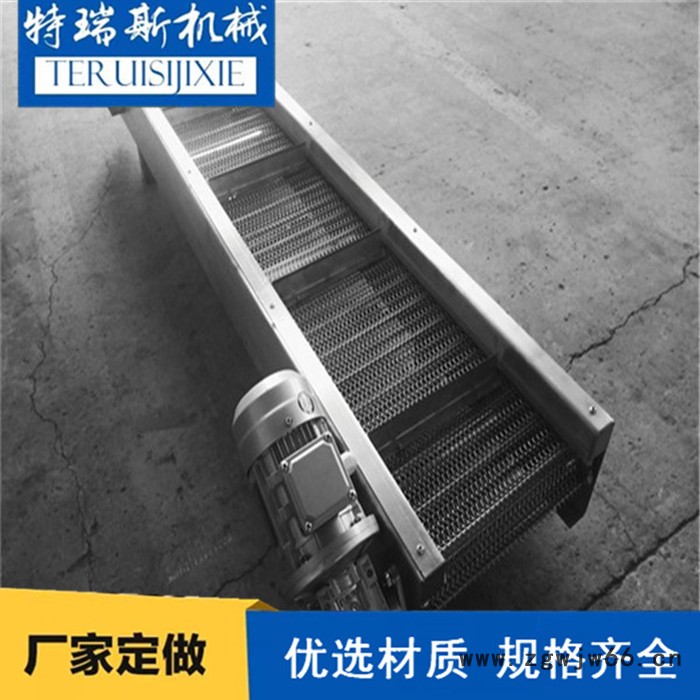 网带输送机 金属网带输送机特瑞斯食品网带输送机厂家定做图4