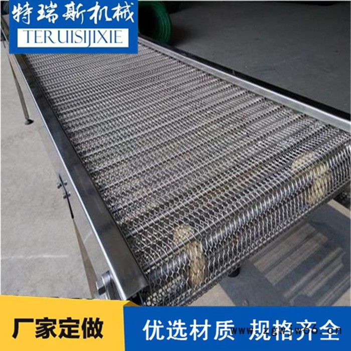 网带输送机 金属网带输送机特瑞斯食品网带输送机厂家定做图2