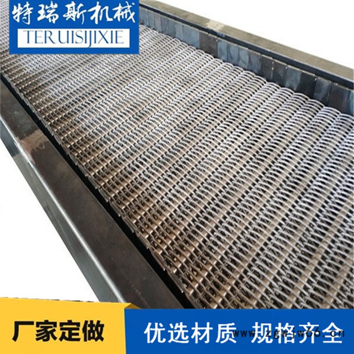 网带输送机 金属网带输送机特瑞斯食品网带输送机厂家定做图5