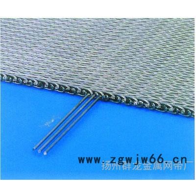 扬州群龙金属网带厂 输送网带 人字型网带 其他输送设备 输送网带