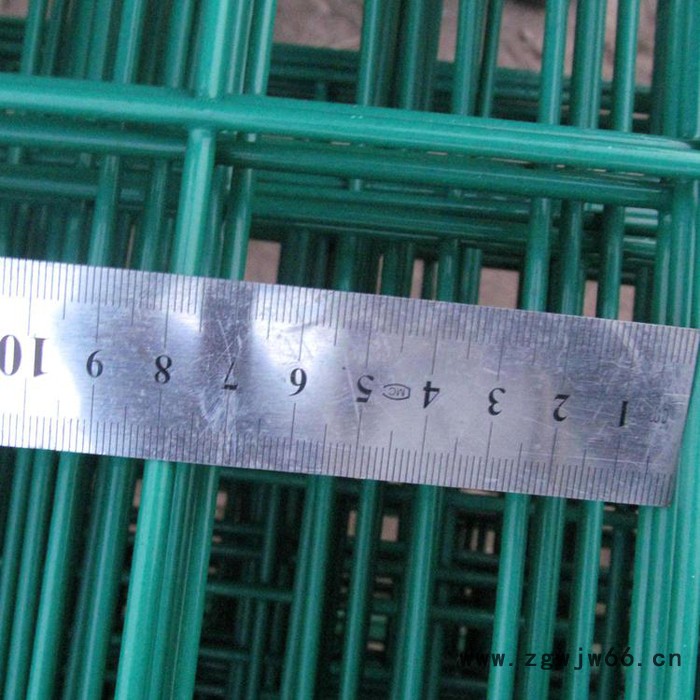【宏乐】 直销  养鸡围网 荷兰网 鱼塘防护围网 绿色铁丝防护网 焊接金属网图3