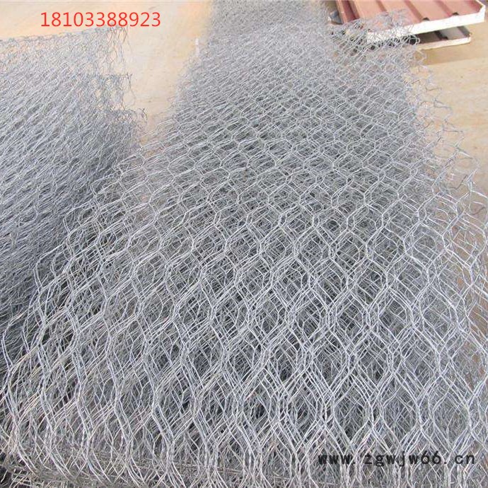 【派森】三拧石笼网 镀锌铁丝网 石笼网箱网笼 金属网批发定做图5