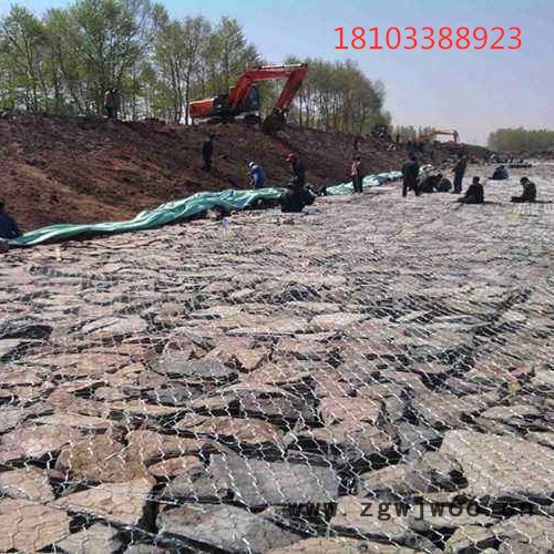 【派森】三拧石笼网 镀锌铁丝网 石笼网箱网笼 金属网批发定做图4