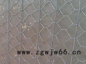 恒仁金属网业专业生产镀高尔凡石笼网 铁丝石笼网 护坡石笼网箱图3