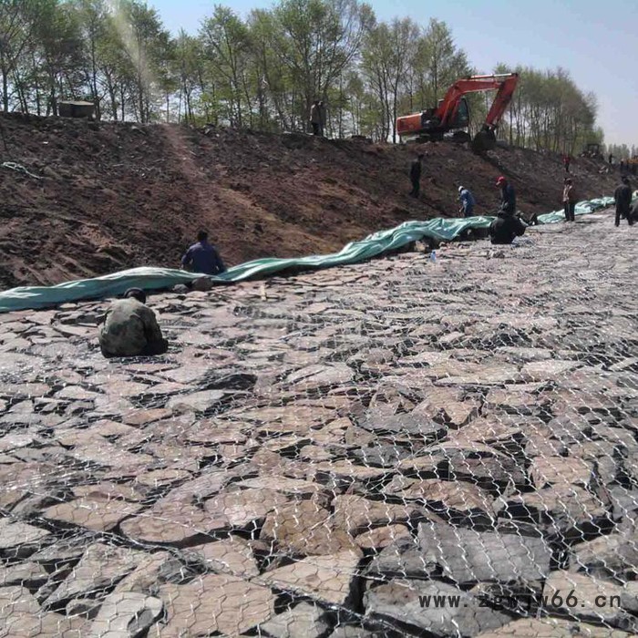 恒仁金属网业专业生产镀高尔凡石笼网 铁丝石笼网 护坡石笼网箱图7