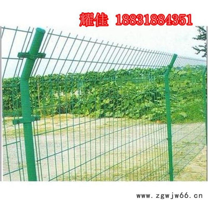 供应耀佳 护栏网 围栏网 现货双边丝护栏网  市政 隔离网  防护网    金属网  养殖网 公路铁路护栏 小区护栏图3