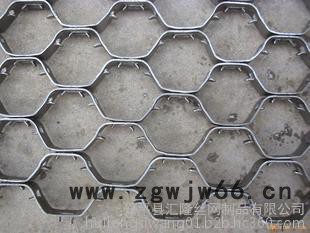 其他金属网龟甲网    369图7