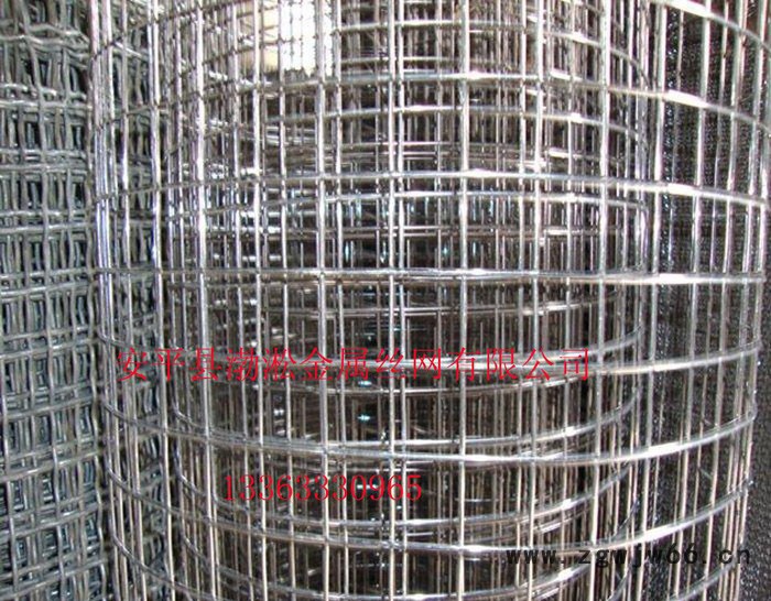 上海金属网厂 不锈钢电焊网 工业用网 养殖电焊网 电焊网片