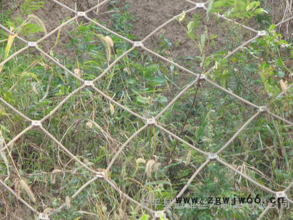 其他金属网边坡安全防护网冠雄生产柔性防护网可定制图2