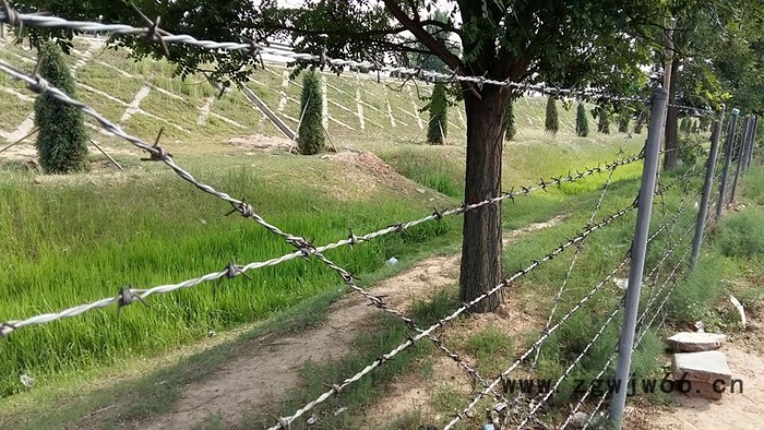 其他金属网..图4