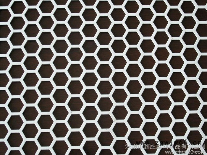 供应多孔金属网 安平多孔金属网 安平鑫胜多孔金属网图3