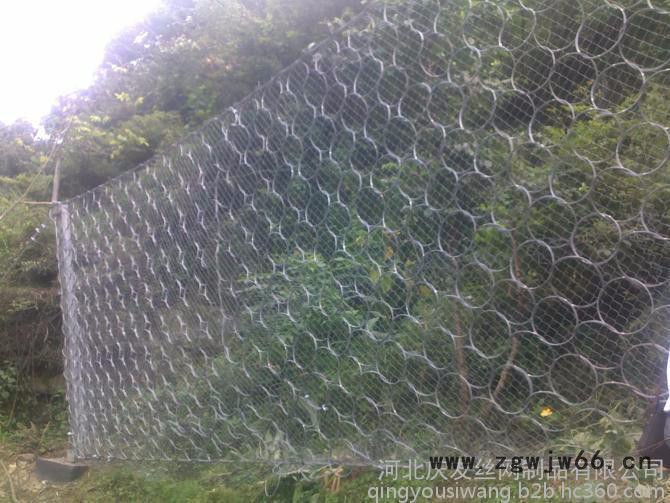其他金属网被动边坡防护网图3