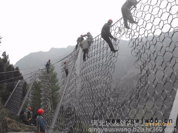 其他金属网被动边坡防护网图2