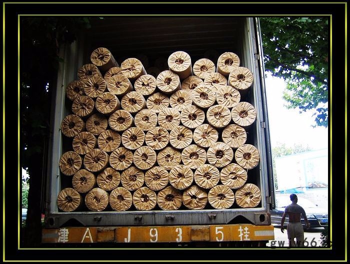 环航 不锈钢电焊网/圈鹅用金属网，金属网片厂家现货供应全网价格**图3