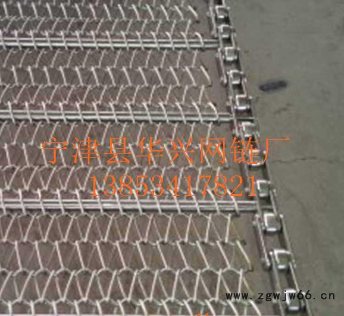 专业生产金属网带 食品冷冻便当面网带  质量保障图3