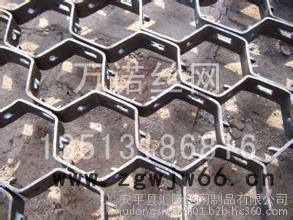 369其他金属网      大泥爪龟甲网图6