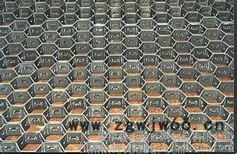 369其他金属网      大泥爪龟甲网图5