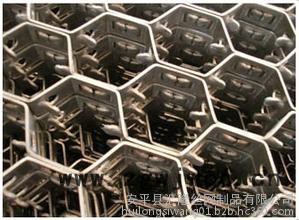 369其他金属网      大泥爪龟甲网图3