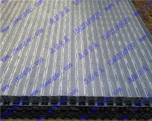 加工定做 河北森喆金属输送带厂家 金属网状输送带 网状金属输送带图6