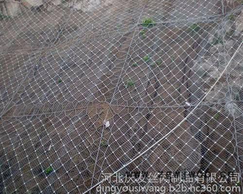 其他金属网主动边坡防护网图2