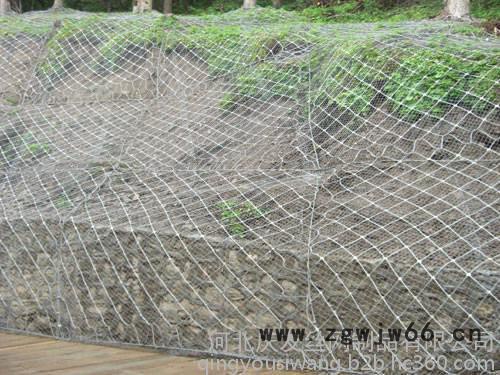 其他金属网主动边坡防护网图8