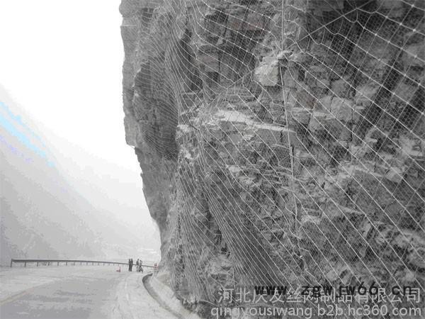 其他金属网主动边坡防护网图5