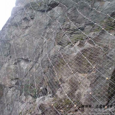 其他金属网主动边坡防护网