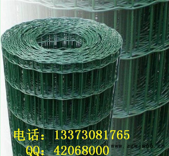 其他金属网,生产荷兰网/涂塑荷兰网/大丝荷兰网图2