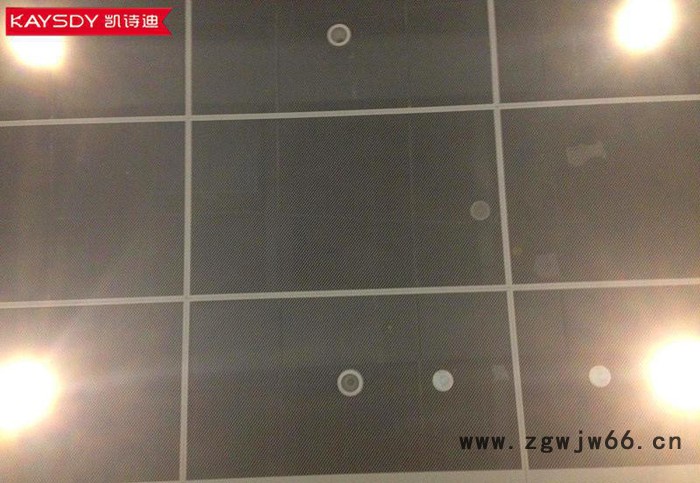 【金属网格天花板】广东拉网天花生产直销图2
