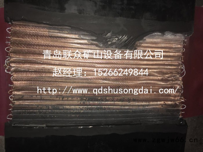 联众 金属网芯输送带 耐高温输送带**供应商推荐服务周到图6