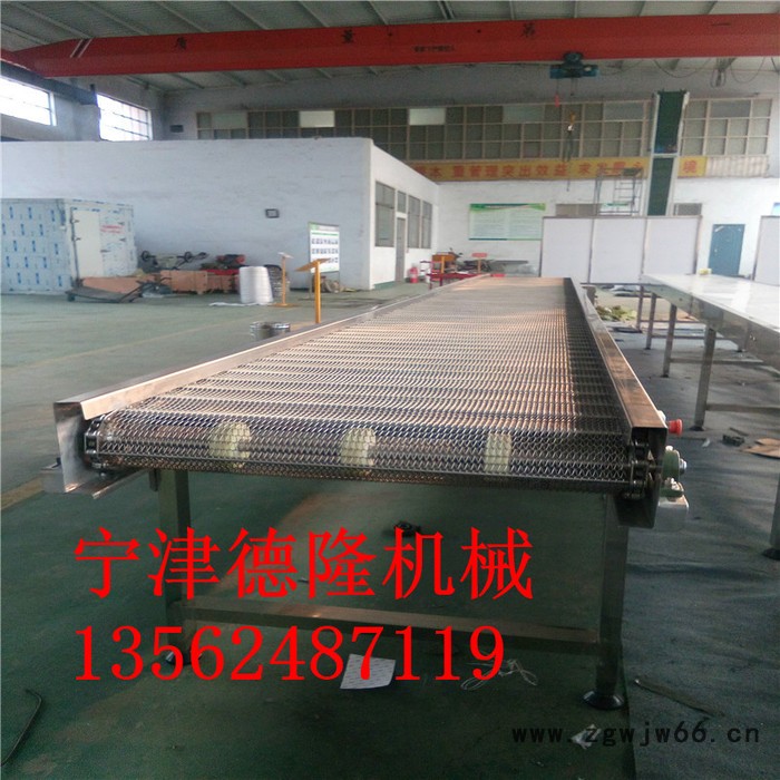 德隆dl-6 网带输送机金属网带输送机网带清洗机304不锈钢输送线图2