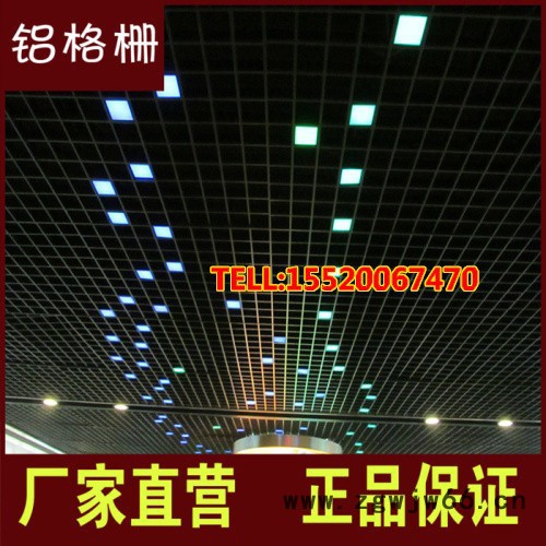 比翼格栅 葡萄架金属网格U型槽铝天花铝方管专业吊顶厂家铁格栅图2