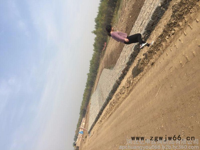 山体防护网 重型六角网 防洪石笼网 河北石笼网厂家 石笼网价格 其他金属网图5