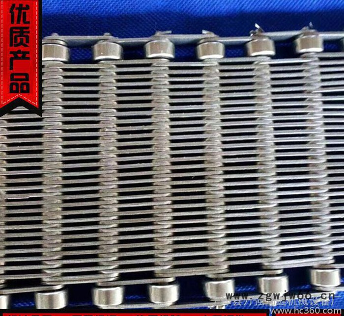 定制人字形不锈钢链片式金属网带  塑料模块式组合网链