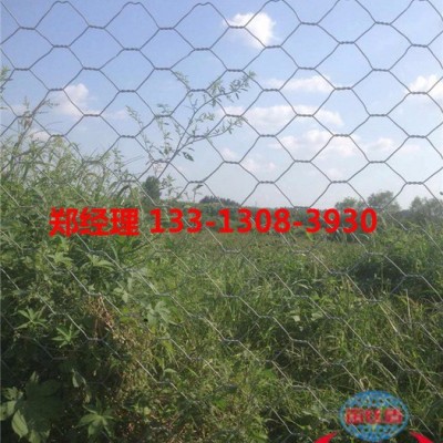 宙丝盾 双绞合六边形金属网片 重型六角网 石笼网箱 挡墙 石笼网 龙亿**