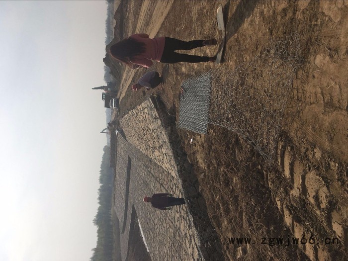 石笼防护网 落石防护网 镀锌石笼网 石笼网 养殖防护网 免费拿样 其他金属网