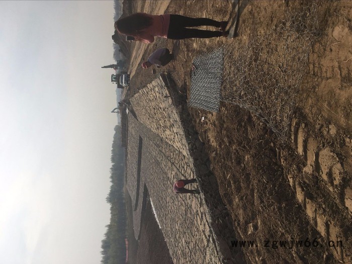 石笼防护网 落石防护网 镀锌石笼网 石笼网 养殖防护网 免费拿样 其他金属网图2