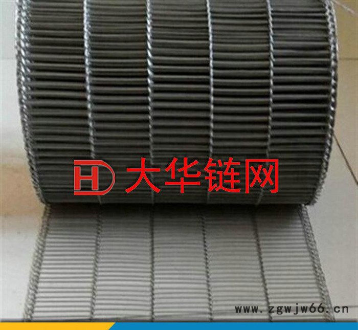 大华 不锈钢乙型网带 耐用金属网带 链条式金属网带图3