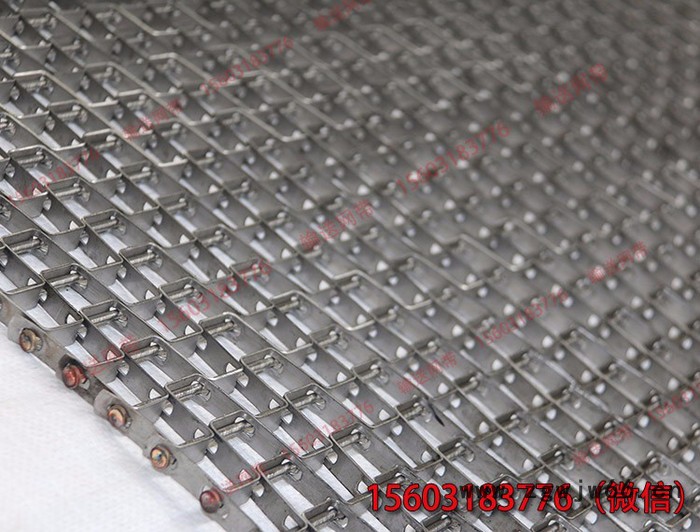 长城网带  厂家现货  马蹄链   输送果蔬类食品 金属网带图2